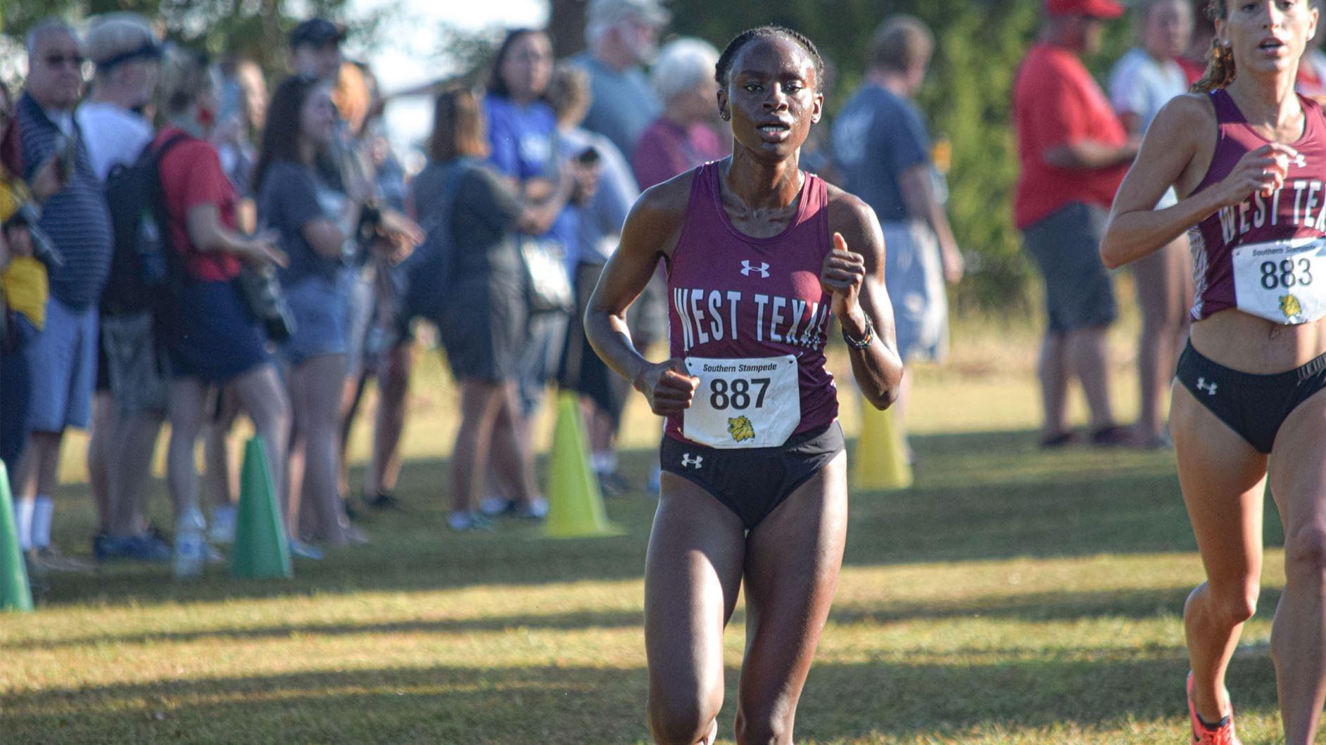 DII XC